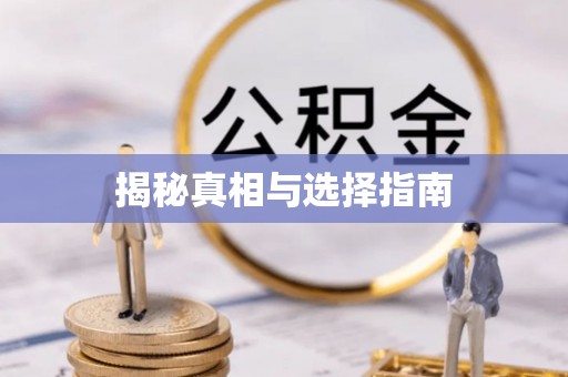 海港揭秘真相与选择指南