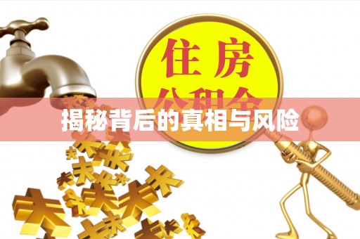 海港揭秘背后的真相与风险