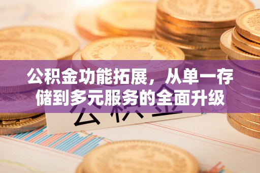 海港公积金功能拓展，从单一存储到多元服务的全面升级