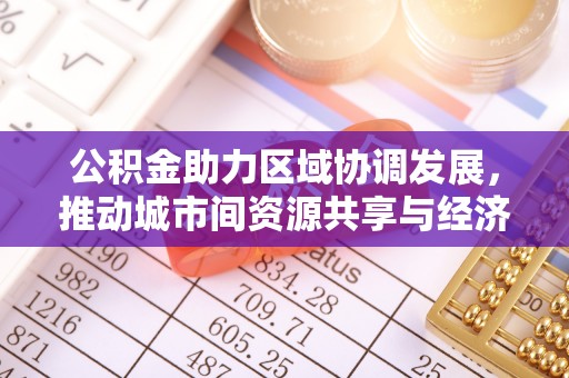 海港公积金助力区域协调发展，推动城市间资源共享与经济均衡发展