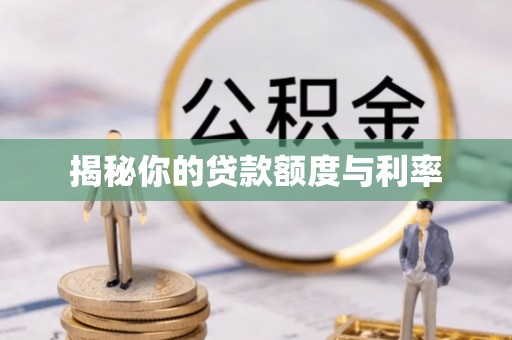 海港揭秘你的贷款额度与利率