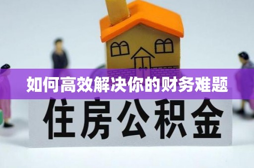 海港如何高效解决你的财务难题