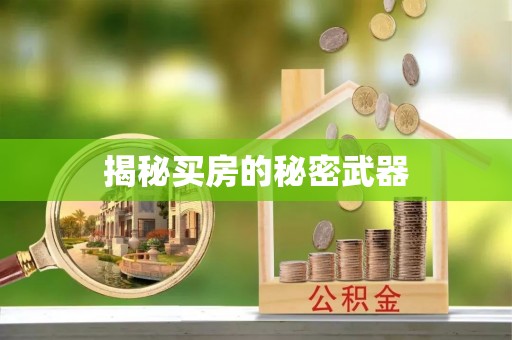 海港揭秘买房的秘密武器