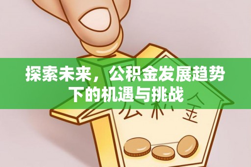 海港探索未来，公积金发展趋势下的机遇与挑战