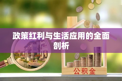 海港政策红利与生活应用的全面剖析